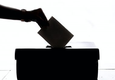 Elezioni politiche